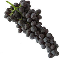 Խաղող Կարդինալ