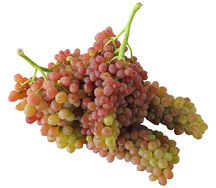 Խաղող Քիշմիշ վարդագույն