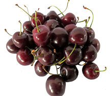 Գիլաս