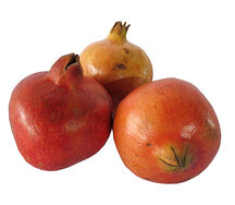 Նուռ իրանական