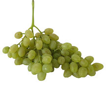 Խաղող Շահումյան