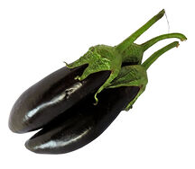 Սմբուկ