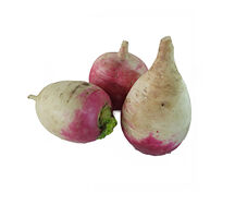 Բողկ սպիտակ