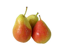 Տանձ Ֆարել