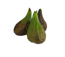 Մեղրու թուզ մանուշակագույն