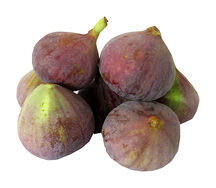 Թուզ մանուշակագույն