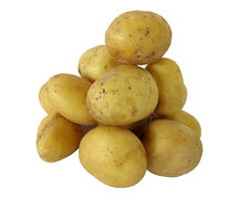 Կարտոֆիլ նոր