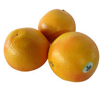 Թուրինջ իսպանական