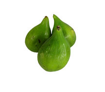 Մեղրու թուզ կանաչ