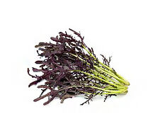 Միզունա