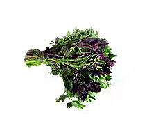 Կանաչու տեսականի