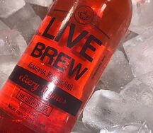 Комбуча Live Brew