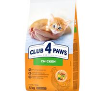 4 лапы для котят