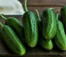 Огурцы бакинские