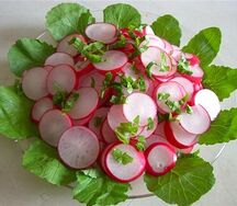 Салат с редиской