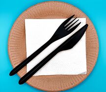 Одноразовая посуда на 1 персону