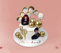 Торт подарочный Гарри Поттер