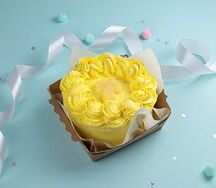 Бенто-торт Тропики