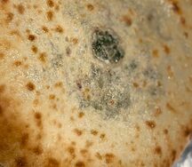 Осетинский пирог со шпинатом и осетинским сыром