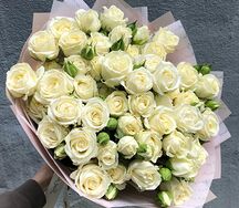 Միսս Բոմբաստիկ