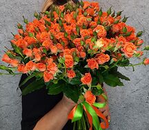 Սուպեր Սենսեյշն