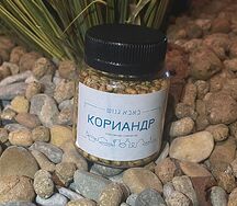 Кориандр 