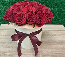 25 бордовых роз в коробке