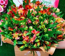 Монобукет Море альстромерий