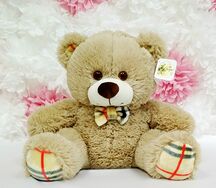 Медведь Сеня 50 см