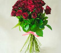 1 бордовая роза 50-60 см