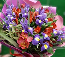 Букет ирисов и альстромерий Офисный красавчик