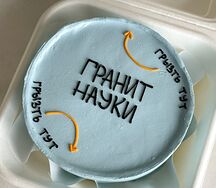 Торт с дизайном Гранит науки