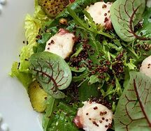 Салат с осьминогом гриль