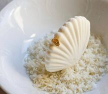 Ракушка Боттичелли