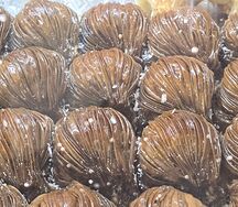 Ракушка шоколадная