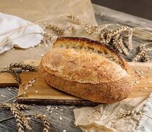 Хокстон пшеничный