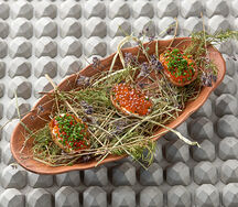 Картофельная корочка с икрой северной форели и топленой сметаной