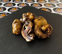 Грибы на мангале