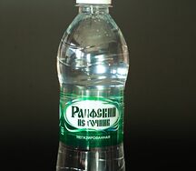 Раифский-Источник Негазированная