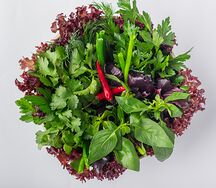 Зеленый пучок