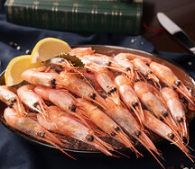 Креветки на льду