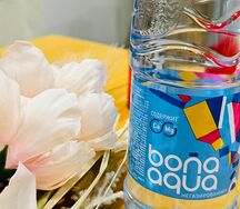 Bonaqua негазированная