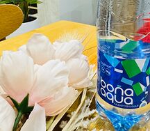 BonAqua газированная