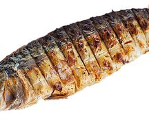 Скумбрия на углях