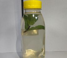 Компот из лимонов с мятой