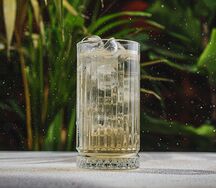 Алоэ-кардамон