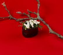 Гункан с чукой