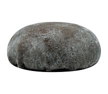 Вагаси моти лесная черника