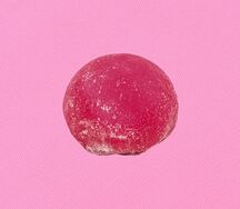 Моти Малина