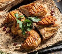 Цыпленок тапака